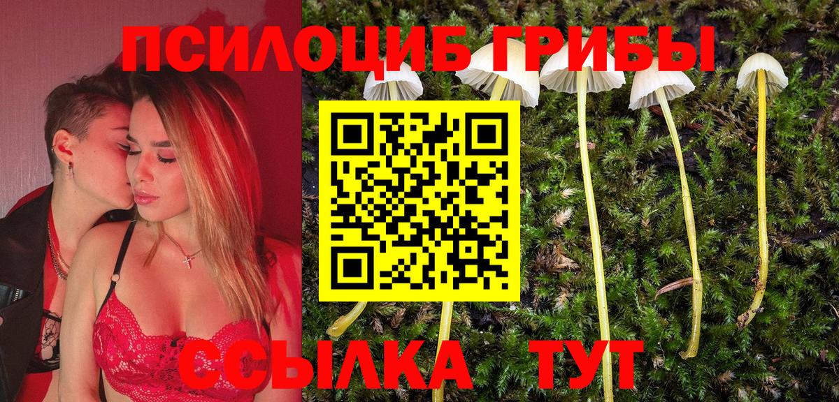 наркошоп  Галлюциногенные грибы GOLDEN TEACHER  Тайшет  Вход с VPN  Галлюциногенные грибы Magic Shrooms 