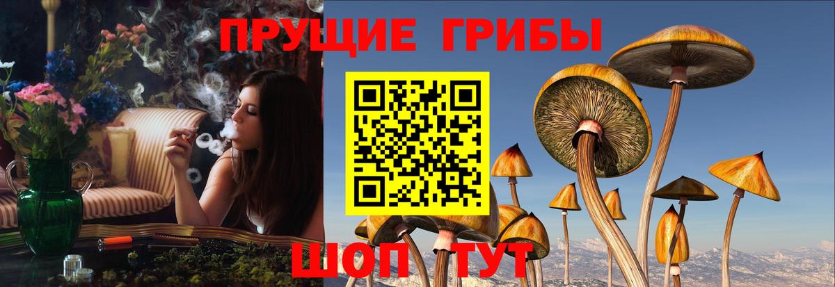 Псилоцибиновые грибы ЛСД Тайшет